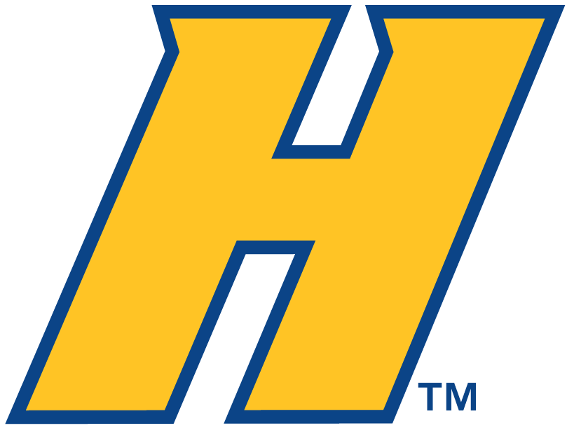 Hofstra Pride 2005-Pres Alternate Logo v2 diy fabric transfer